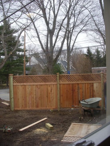 Courtyard Fence in Progress