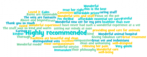 Testimonials Word Cloud