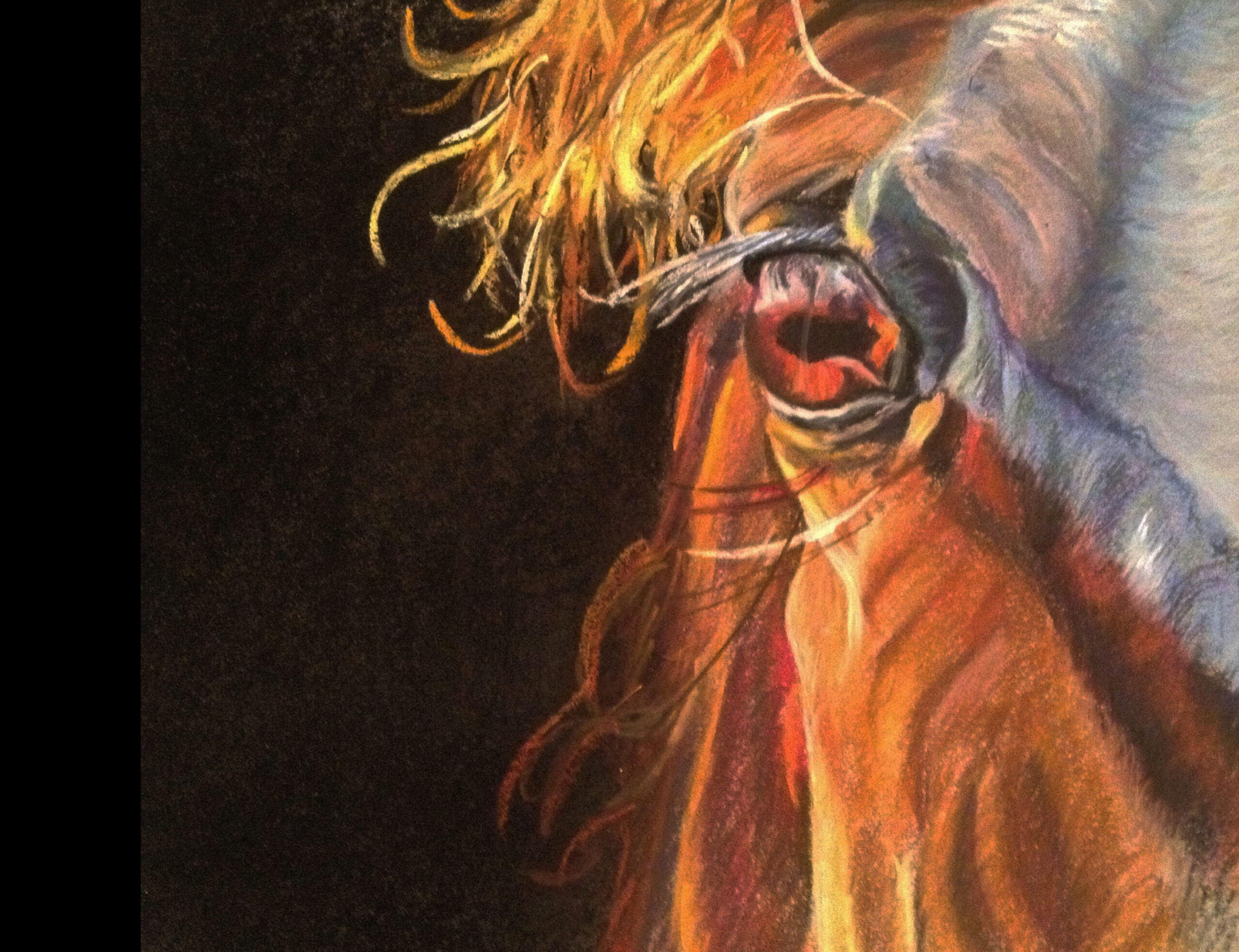 Emily Tucci, Our Newest Artist for Unity Animals A4UA