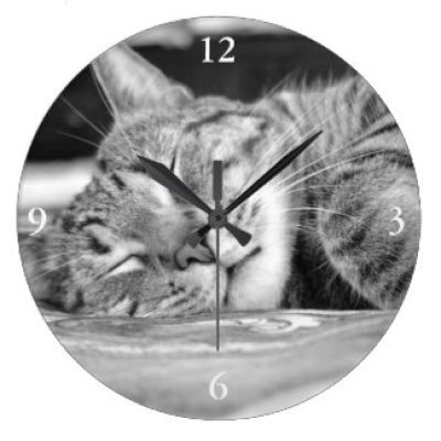 sleeping_kitty_clock-r15f09431eee54b47b996424f6a3fb6b3_fup13_8byvr_324
